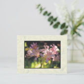 花 ポストカード (スタンド正面)