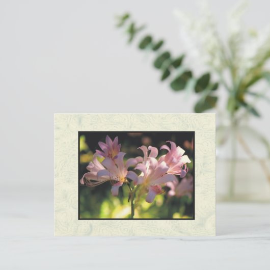 花 ポストカード (スタンド正面)