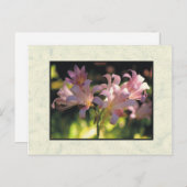 花 ポストカード (正面/裏面)