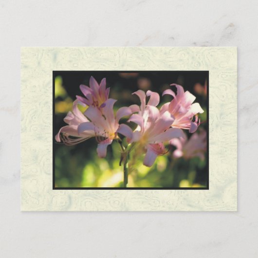 花 ポストカード (正面)