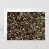 花 ポストカード (正面/裏面)