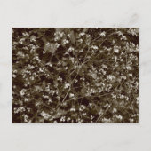 花 ポストカード (正面)