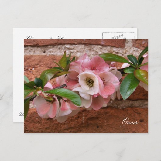 花 ポストカード (正面/裏面)