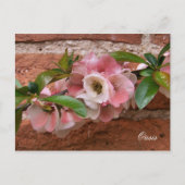 花 ポストカード (正面)