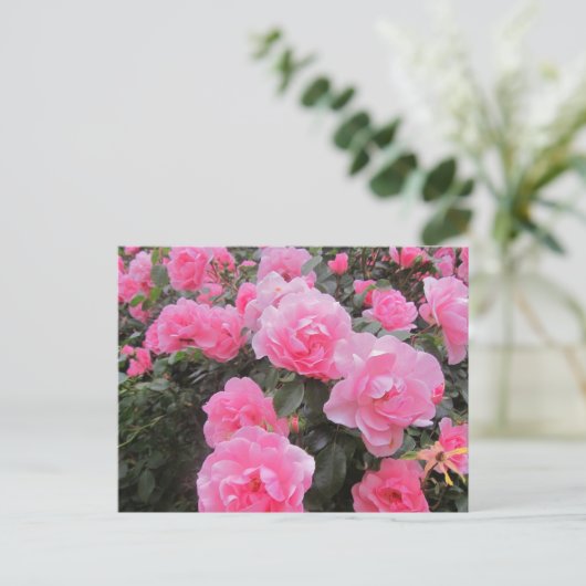 花 ポストカード (スタンド正面)