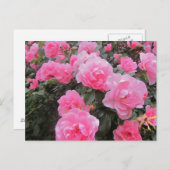 花 ポストカード (正面/裏面)