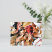 花 ポストカード (スタンド正面)