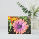 花 ポストカード (スタンド正面)