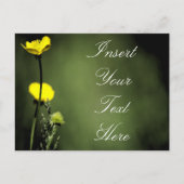 花 ポストカード (正面)