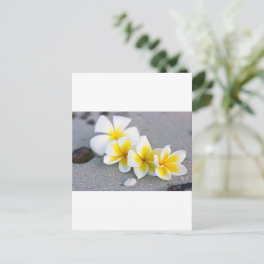 花 ポストカード (スタンド正面)