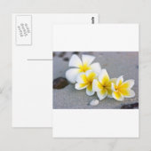 花 ポストカード (正面/裏面)