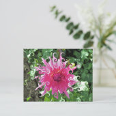 花 ポストカード (スタンド正面)