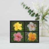 花 ポストカード (スタンド正面)