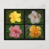 花 ポストカード (正面)