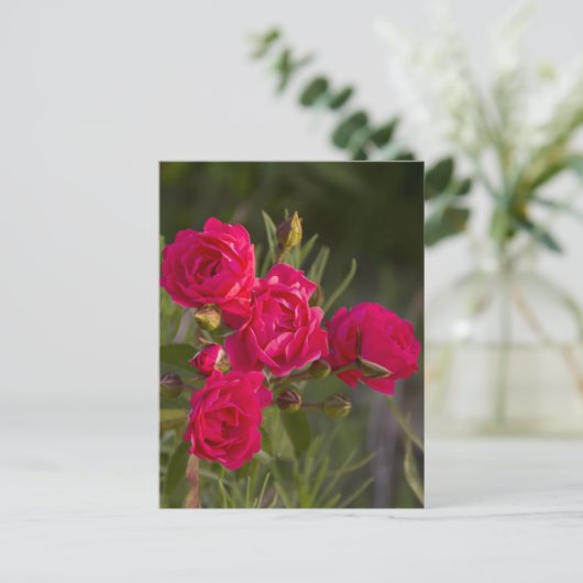 花 ポストカード (スタンド正面)