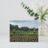 花 ポストカード (スタンド正面)