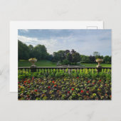 花 ポストカード (正面/裏面)