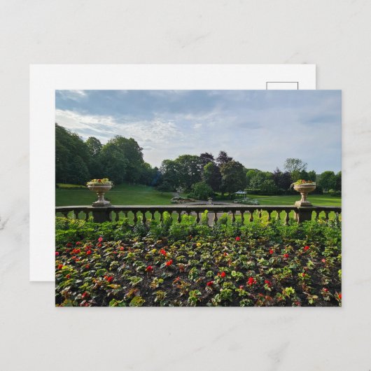 花 ポストカード (正面/裏面)