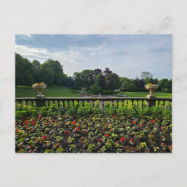 花 ポストカード