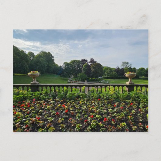 花 ポストカード (正面)