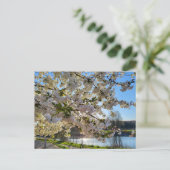 花 ポストカード (スタンド正面)