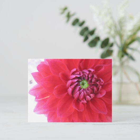 花 ポストカード (スタンド正面)