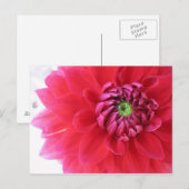 花 ポストカード (正面/裏面)