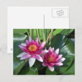 花 ポストカード (正面/裏面)