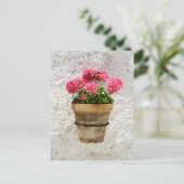 花 |ポットの花のゼラニウム ポストカード (スタンド正面)