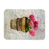 花 |ポットの花のゼラニウム マグネット (横)