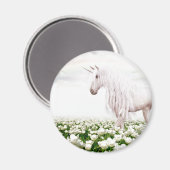 花 マグネット (正面/裏面)