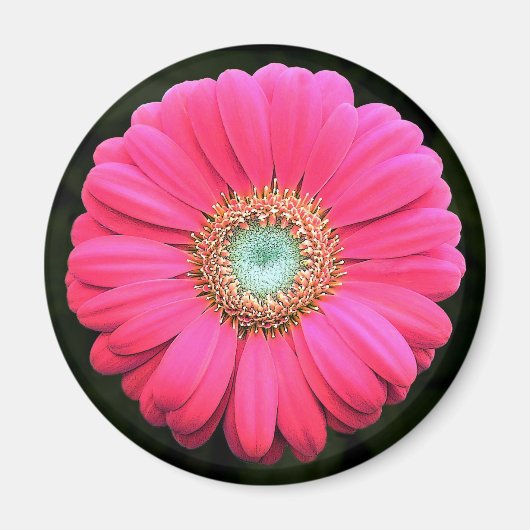 花 マグネット (正面)