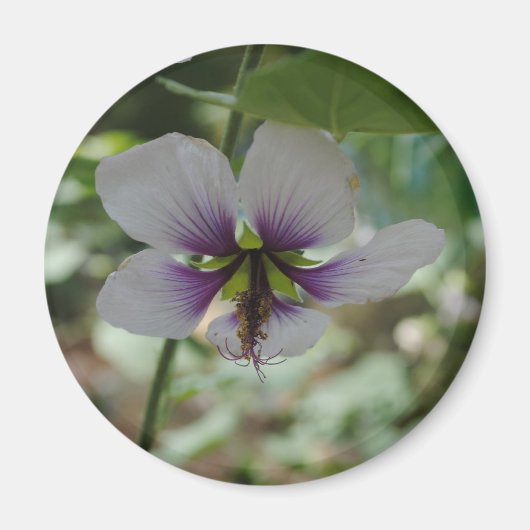 花 マグネット (正面)