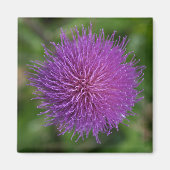 花 マグネット (正面)