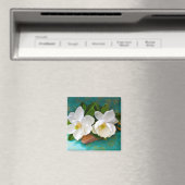 花 |マグノリア花 マグネット (インサイチュ (食洗機))