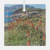 花 |マデイラ島ポルトガル ガラスオーナメント (正面)