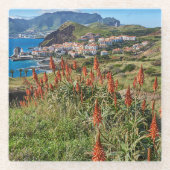 花 |マデイラ島ポルトガル ガラスコースター (正面)