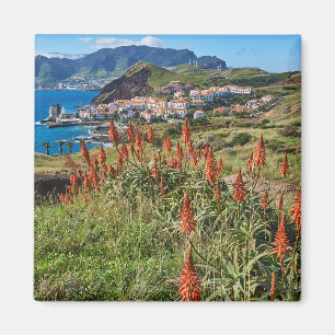 花 マデイラ島ポルトガル マグネット