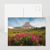 花 |モンタナ氷河の国立公園 ポストカード (正面/裏面)