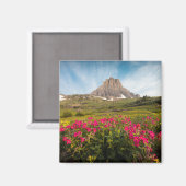 花 |モンタナ氷河の国立公園 マグネット (正面/裏面)