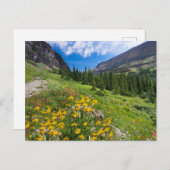 花 |モンタナ花路 ポストカード (正面/裏面)