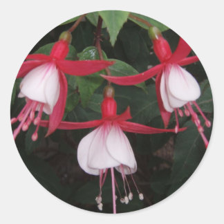花 ラウンドシール
