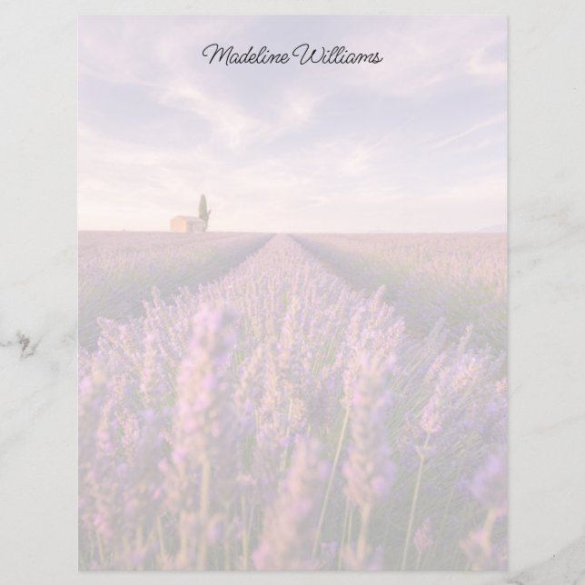 花 |ラベンダー南フランス (正面)