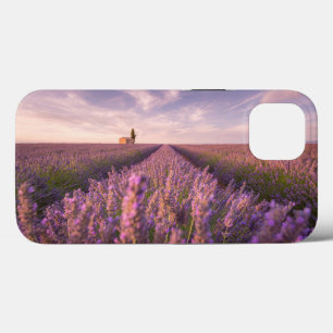 花  ラベンダー南フランス iPhone 13ケース