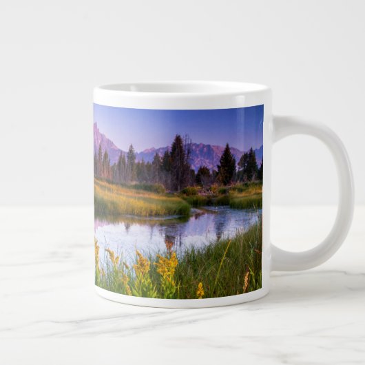 花 |ワイオミング州グランドテトン国立公園 ジャンボコーヒーマグカップ (右)