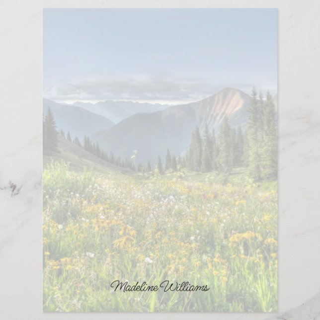 花 |ワイルドフラワーズシルバートンコロラド (正面)