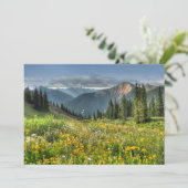 花 |ワイルドフラワーズシルバートンコロラド サンキューカード (スタンド正面)