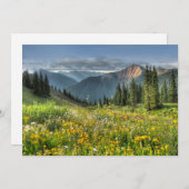 花 |ワイルドフラワーズシルバートンコロラド サンキューカード (正面/裏面)