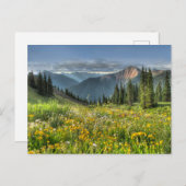 花 |ワイルドフラワーズシルバートンコロラド ポストカード (正面/裏面)