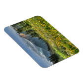 花 |ワイルドフラワーズシルバートンコロラド マグネット (右側)